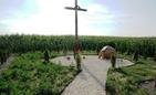 Odnawiają choleryczne cmentarze w powiecie jarosławskim