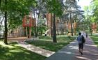 Czesi zaprojektują i zbudują park linowy w Stalowej Woli