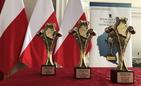 Wręczono nagrody w Konkursie Podkarpacka Nagroda Samorządowa 2020