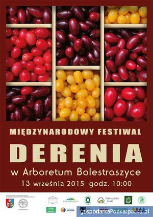 Festiwal Derenia w Arboretum Bolestraszyce