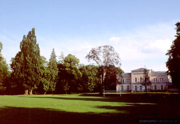 Park z pałacem Wodzickich w Tyczynie. Fot. www.tyyczyn.pl