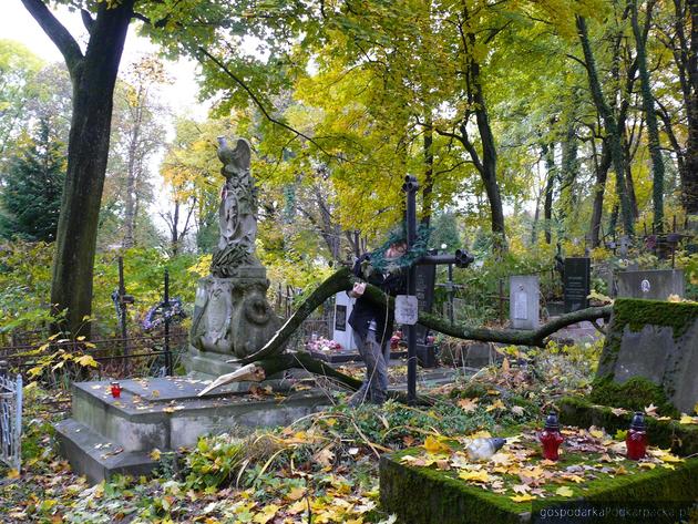 Zadbali o groby dziennikarzy polskich na Łyczakowie