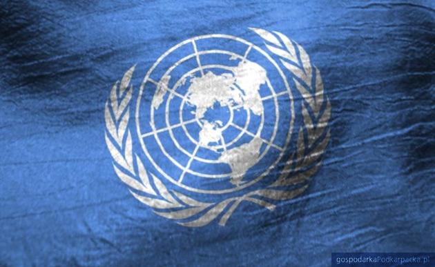 Kariera w ONZ