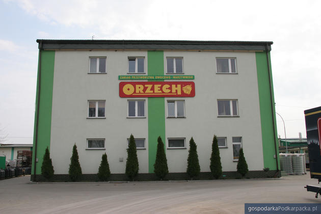 Fot. www.orzech.com.pl