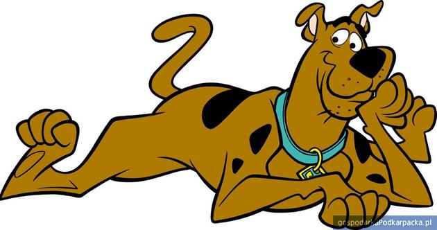 Walentynki ze Scooby Doo