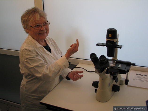 Profesor Elżbieta Wałajtys-Rode prezentuje mikroskop, doktótrego można podłączyć kamerę, fot. Adam Cyło