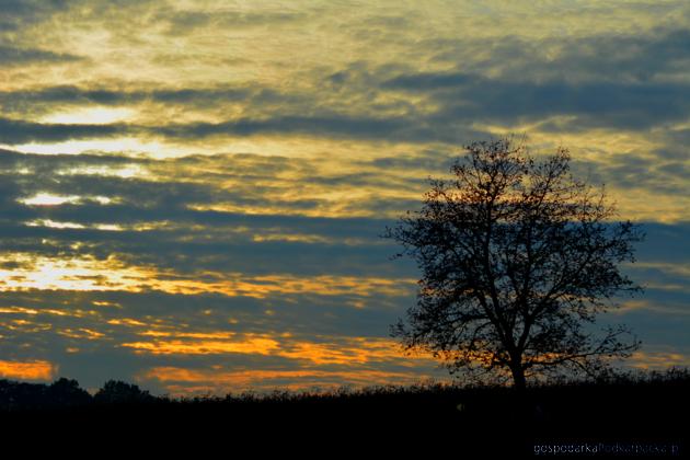 Magdalena Dupel – fotografia „Zachód słońca we wsi Kidałowice”