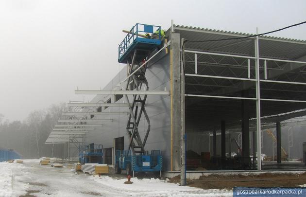 TS Logistics drugim najemcą Cargo Terminal Rzeszów-Jasionka