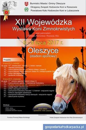 XII Wojewódzka Wystawa Koni Zimnokrwistych 2017