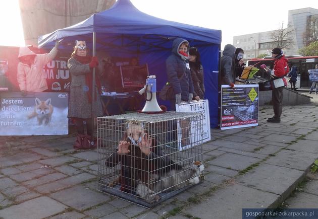 Happening obrońców zwierząt w Rzeszowie