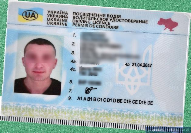 Ukraiński kierowca z fałszywym prawem jazdy