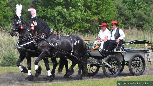 Parada Konna w Żarówce 2018. Tym razem z Piłsudskim