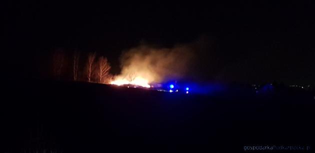 Pożar traw na osiedlu Zalesie w Rzeszowie