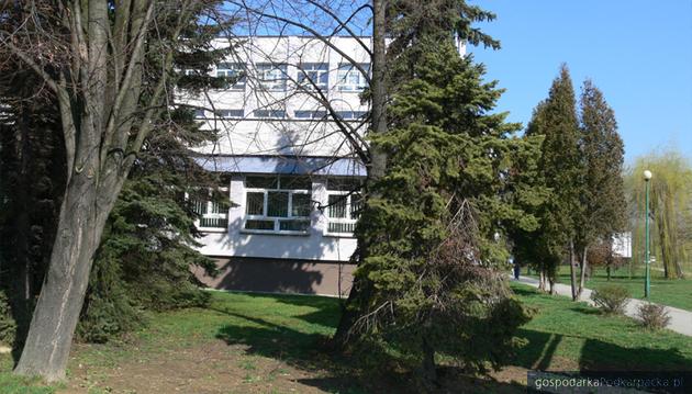 Studenci uniwersytetu odpoczną w „Ogrodzie Rektorskim”