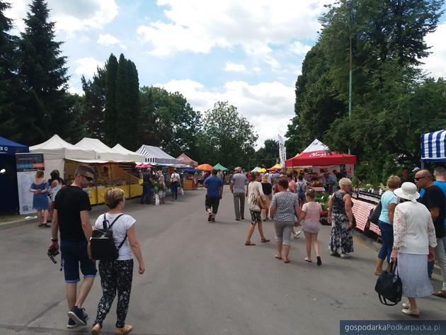 Trwa wystawa rolnicza w Boguchwale. Zobacz zdjęcia