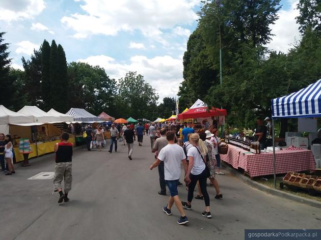 Trwa wystawa rolnicza w Boguchwale. Zobacz zdjęcia