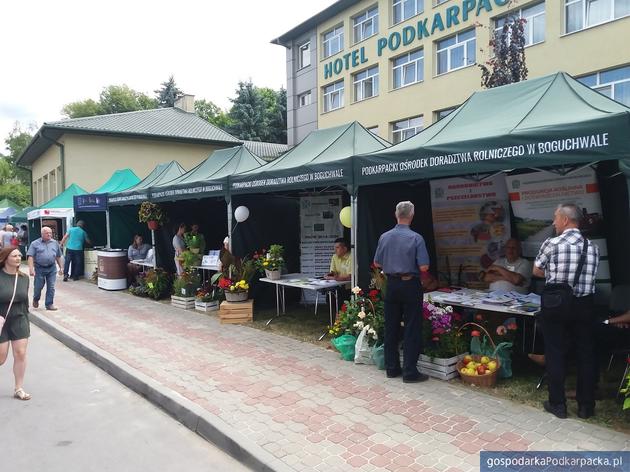 Trwa wystawa rolnicza w Boguchwale. Zobacz zdjęcia