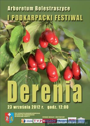 I Podkarpacki Festiwal Derenia