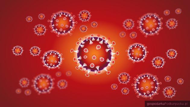 Wizualizacja wirusa SARS CoV2. Fot. pixabay/CC0