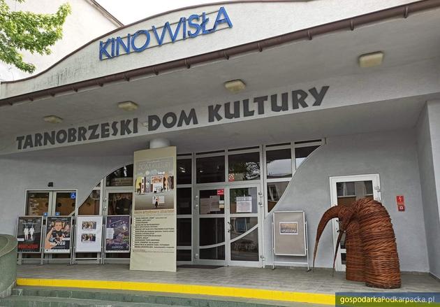 Kino, zajęcia, wystawy – ponowne otwarcie Tarnobrzeskiego Domu Kultury 