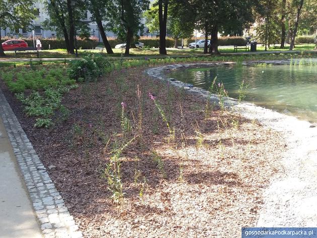 Park miejski przy ulicy Dąbrowskiego w Rzeszowie już odnowiony