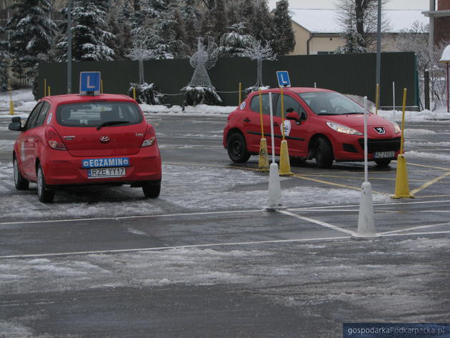 Egzamin na placu w WORD w Rzeszowie. Fot. Adam Cyło