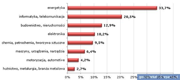 Wyniki sondy „Jaka jest wg Ciebie najbardziej przyszłościowa branża?” przeprowadzonej przez BDI w dniach 18.12.2012 – 23.01.2013