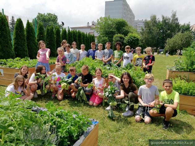 Najlepsze mikroinnowacje zgłoszone w Rzeszowie: ogrody deszczowe, zielona wiata rowerowa i altana edukacyjna