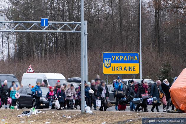 Co piąty uchodźca z Ukrainy żeby znaleźć pracę musiał się przekwalifikować
