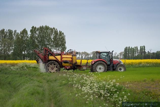 Rolnictwo w województwie podkarpackim w lutym 2024 r.