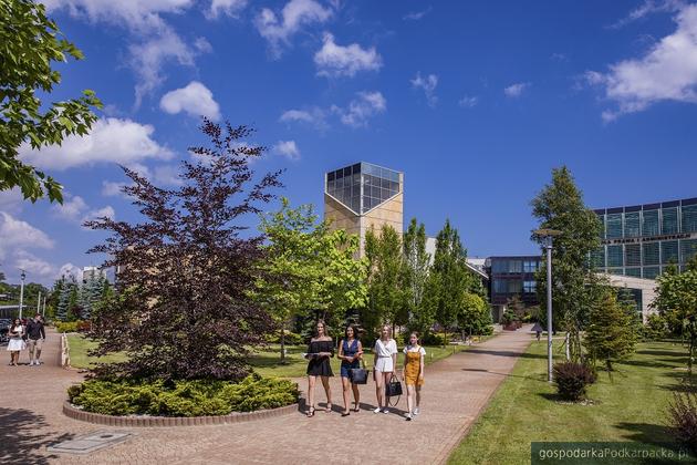 Dołącz do grona studentów WSPiA – rekrutacja JUŻ TRWA!