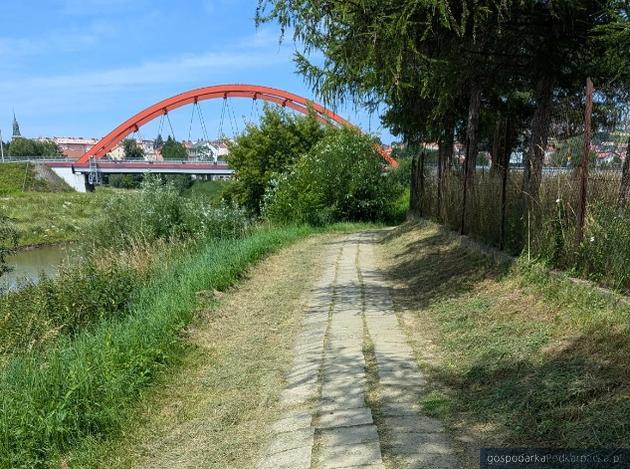 Bulwary nad Wisłokiem w Strzyżowie. Stan obecny. Fot. Urząd Miejski