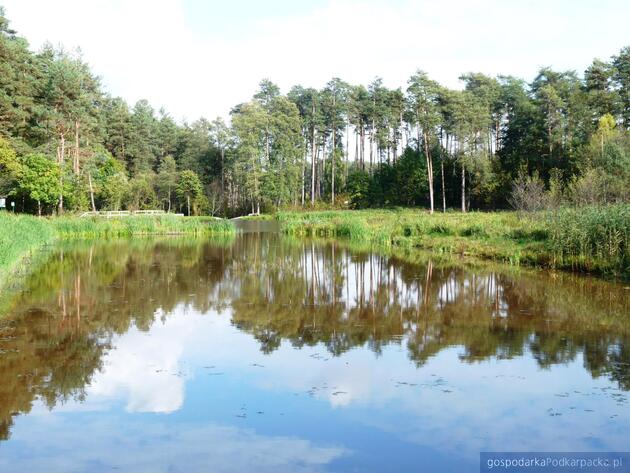 Nadleśnictwo Leżajsk uatrakcyjni ścieżkę edukacyjną „Ostoje bobrowe”