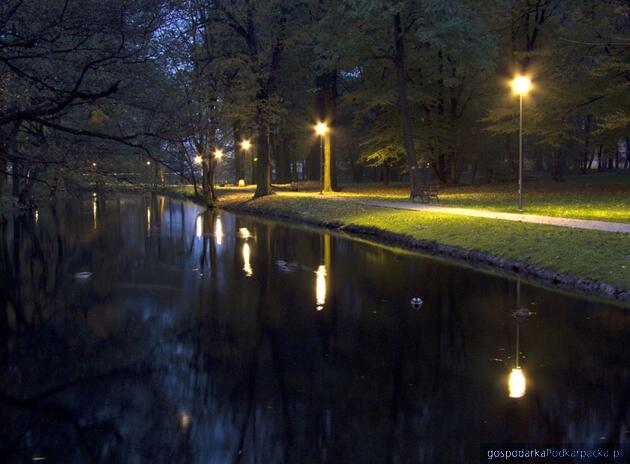 Park na Słocinie. Fot. Bohdan Szczupaj