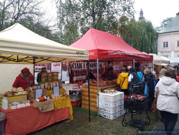 Trwa giełda ogrodnicza i wystawa zwierząt w Boguchwale