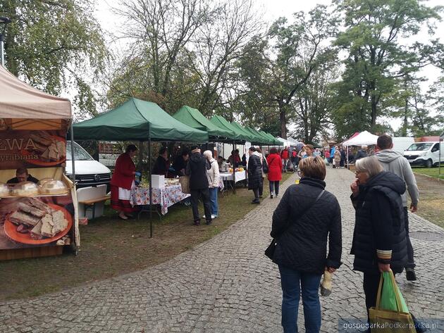 Trwa giełda ogrodnicza i wystawa zwierząt w Boguchwale