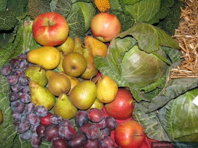 Komisja Europejska proponuje przedłużenie o rok wsparcia dla producentów owoców i warzyw