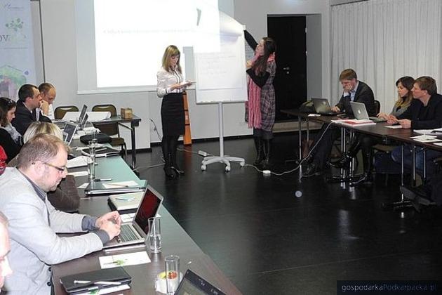 Ewelina Nycz (stoi z lewej) podczas prezentacji klastra \