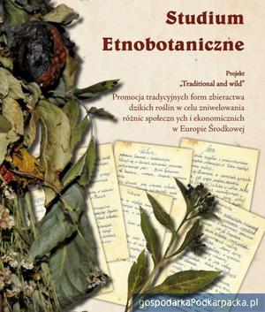 „Studium Etnobotaniczne” na temat ziół z Karpat
