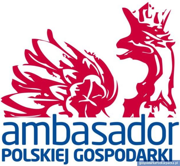 Ankol i Magnezyty Ambasadorami Polskiej Gospodarki
