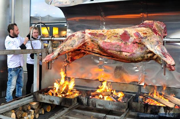 Przed Galerią Rzeszów trwa pieczenie 250-kilogramowego byka. Jutro będzie można spróbować mięsa. Fot. Galeria Rzeszów