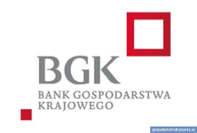Nowe logo Banku Gospodarstwa Krajowego BGK