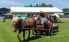 XVIII Targi Żywności Tradycyjnej &bdquo;Festiwal Podkarpackich Smak&oacute;w&rdquo;