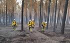 Podkarpaccy strażacy gaszą pożary pod Wołominem i Mińskiem