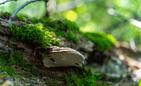 Fot. Adam Lampart/UMRz Fot. Adam Lampart/UMRz