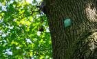 Fot. Adam Lampart/UMRz Fot. Adam Lampart/UMRz