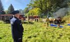 Fot. policja Fot. policja