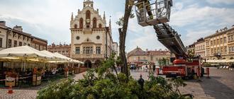 Fot. Grzegorz Bukała/UM Rzeszów