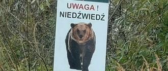 Fot. policja