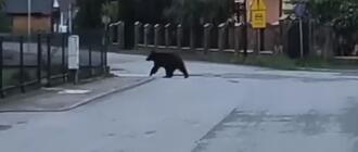 Fot. OSP Baligród